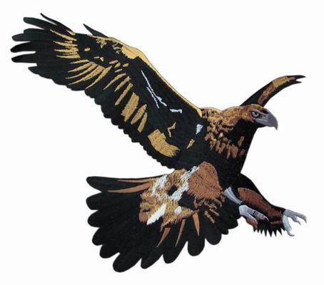 Laser Cut Border PMS Felt Embroidered Eagle Fly Patch